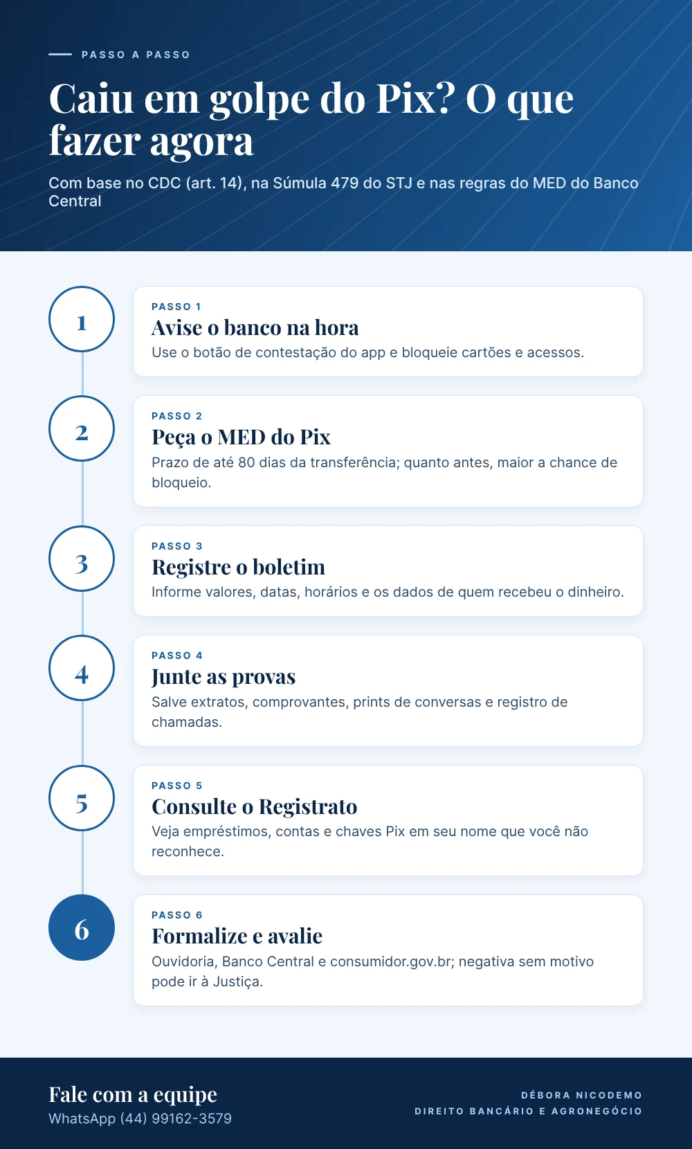 Infográfico: passo a passo do que fazer depois de cair em golpe do Pix ou fraude bancária