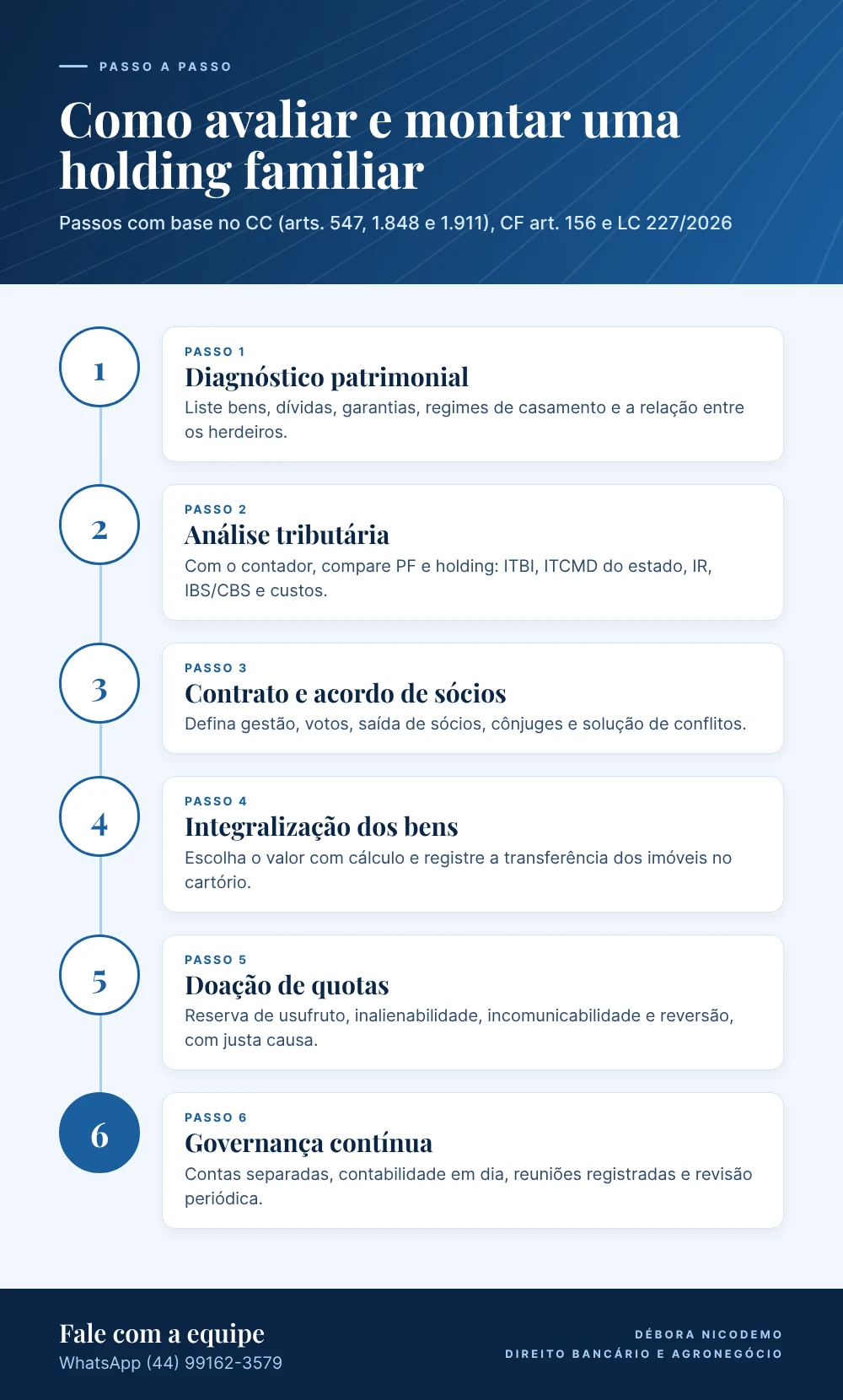 Infográfico: passos para avaliar e montar uma holding familiar