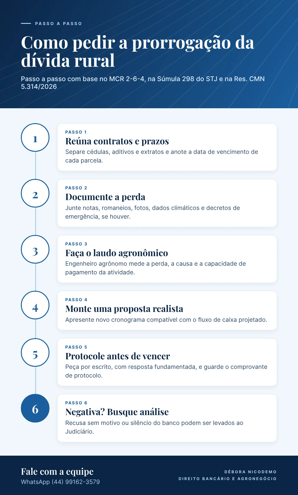 Infográfico: passo a passo do pedido de prorrogação da dívida rural
