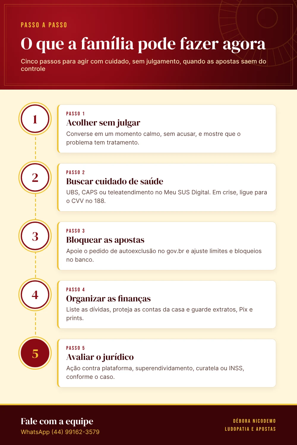 Infográfico: O que a família pode fazer agora